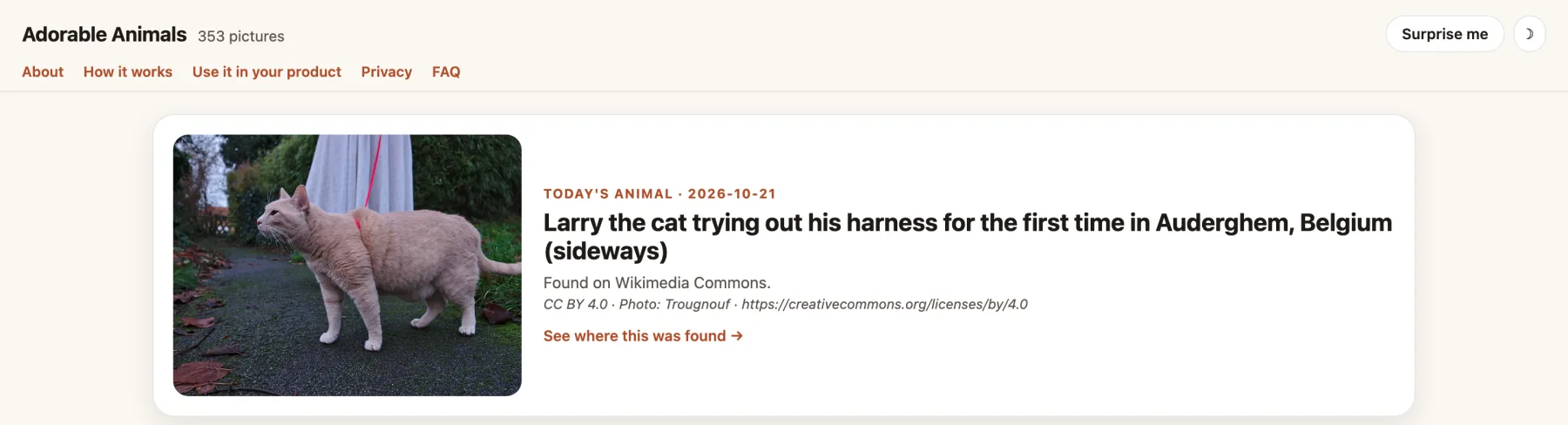 Adorable Animals front page showing Today's animal, a cat on a leash in a garden, with credit and a source link