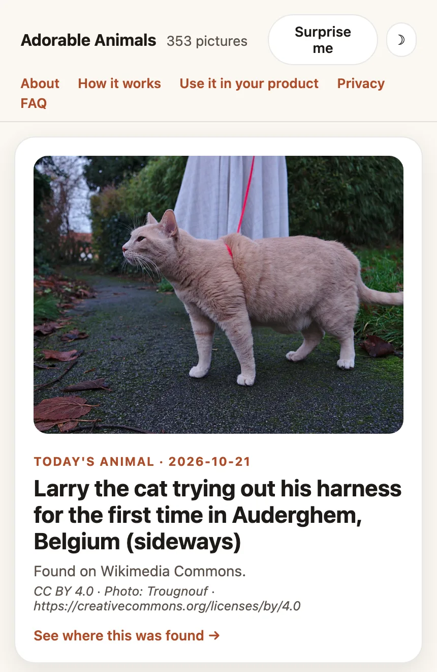 Adorable Animals on a phone-width screen with the featured cat photo, title, credit, and the Get today's animal button