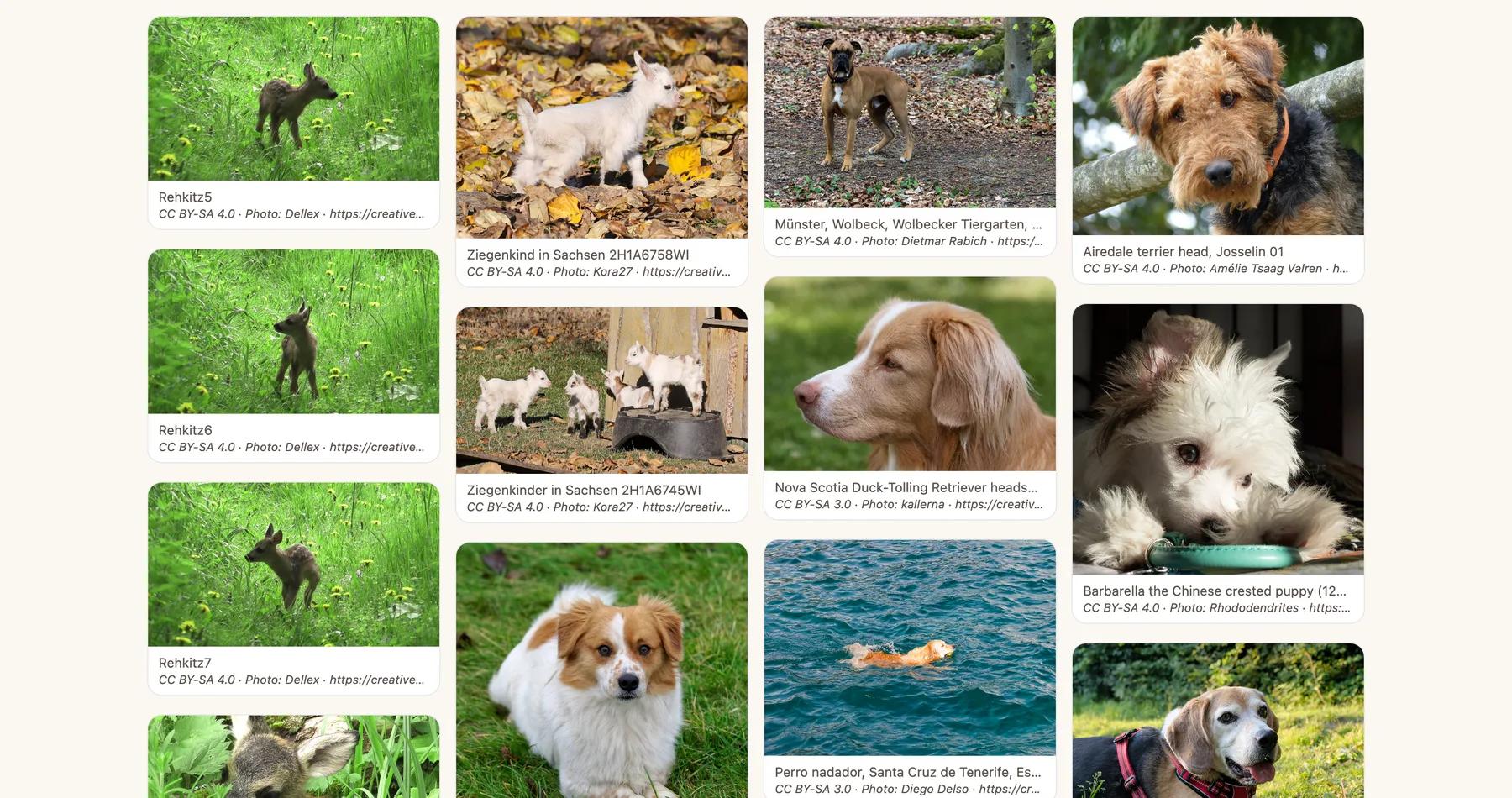 The Adorable Animals gallery grid of fawns, goats, and dogs, each with its photo credit and license