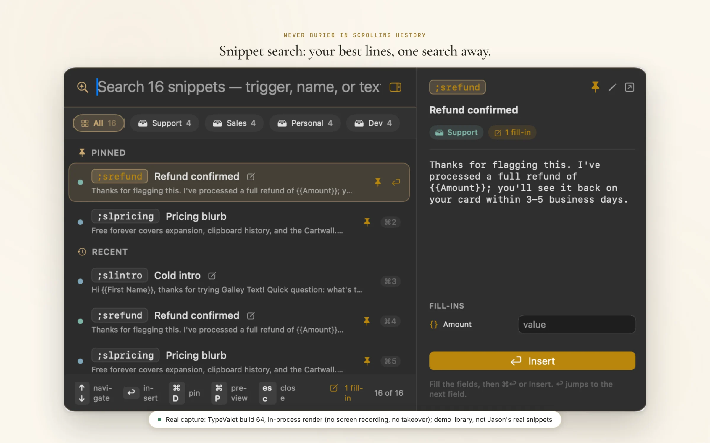 Type Valet snippet search palette listing sixteen snippets grouped by category with a fill-in panel