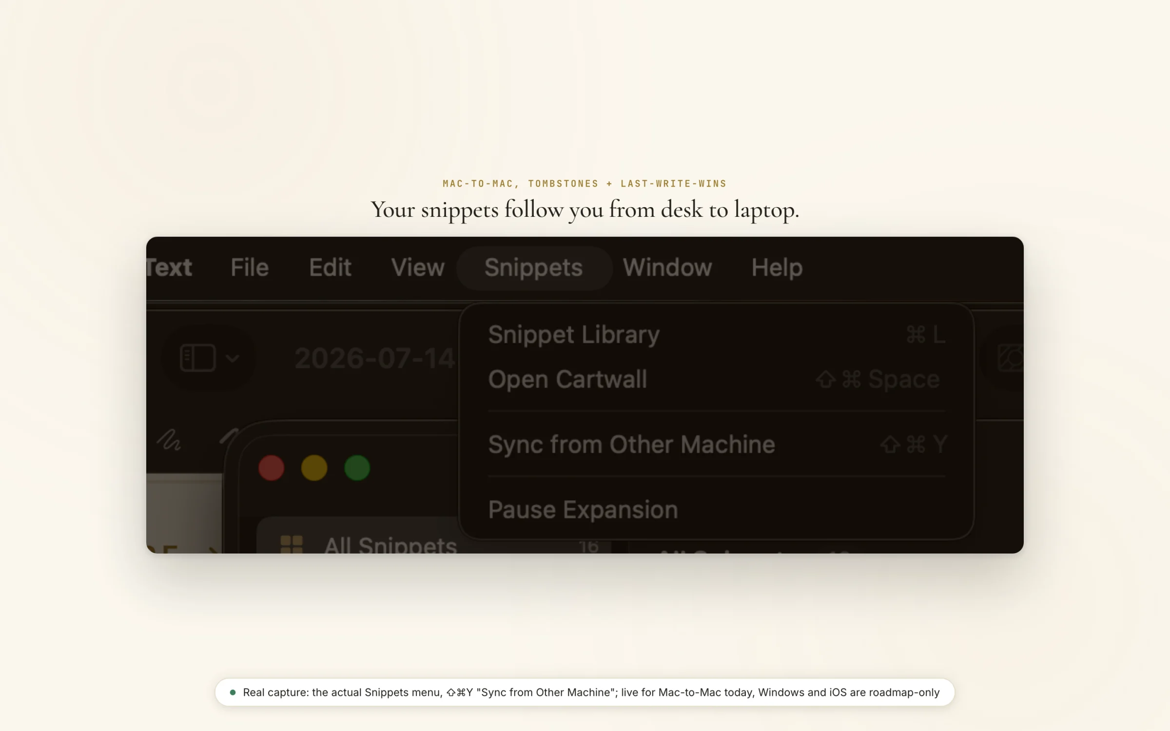 Type Valet Snippets menu showing Snippet Library, Open Cartwall, and Sync from Other Machine commands